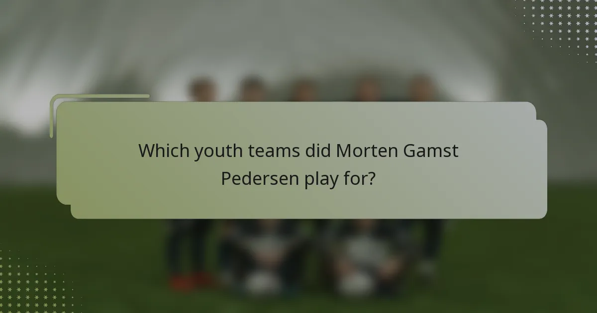 Which youth teams did Morten Gamst Pedersen play for?
